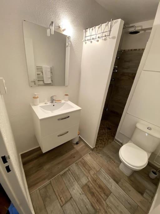 Studio Cabine Avec Jardin Apartman Canet-en-Roussillon Kültér fotó